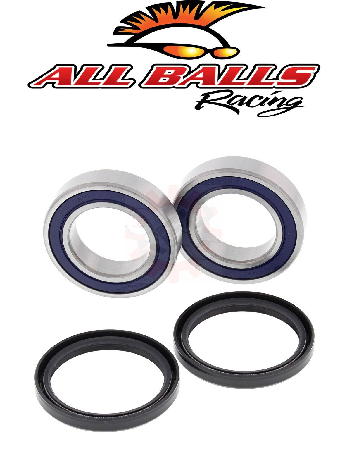 Rear Wheel Bearings Can-Am DS 250 06-18 ALL BALLS 25-1698