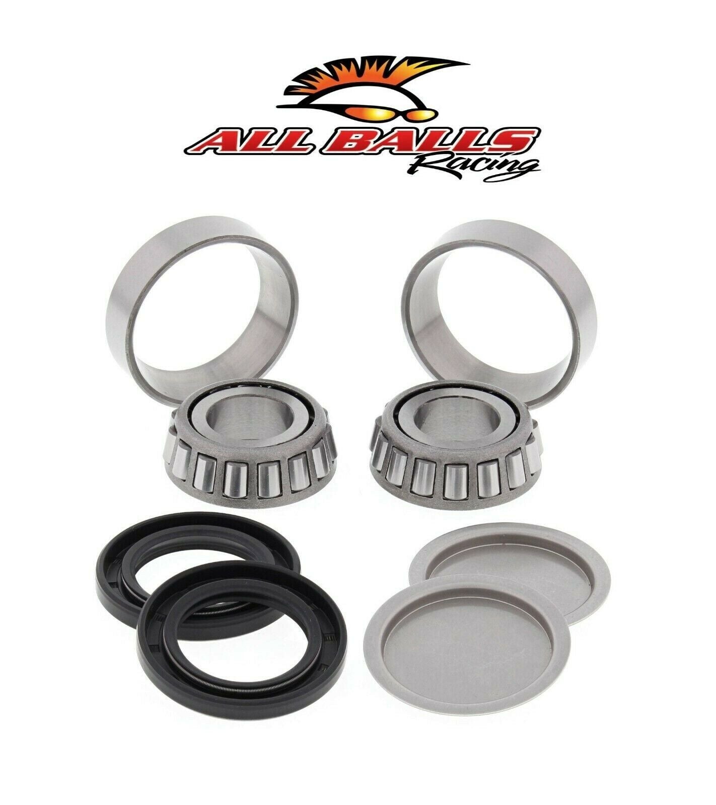 All Balls Swing Arm Bearings 250 Recon 250EX 350 Rancher 450 Foreman 28-1056
